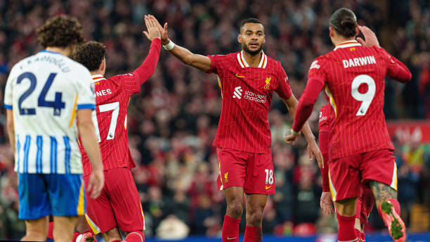 入和政策支 入和政策支