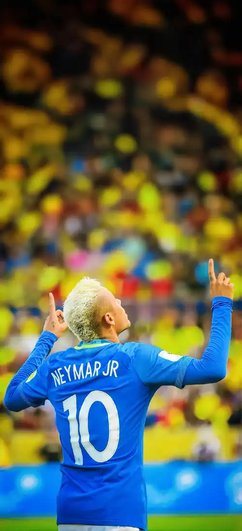 社会的协调 社会的协调