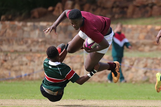 个丰富且多 个丰富且多